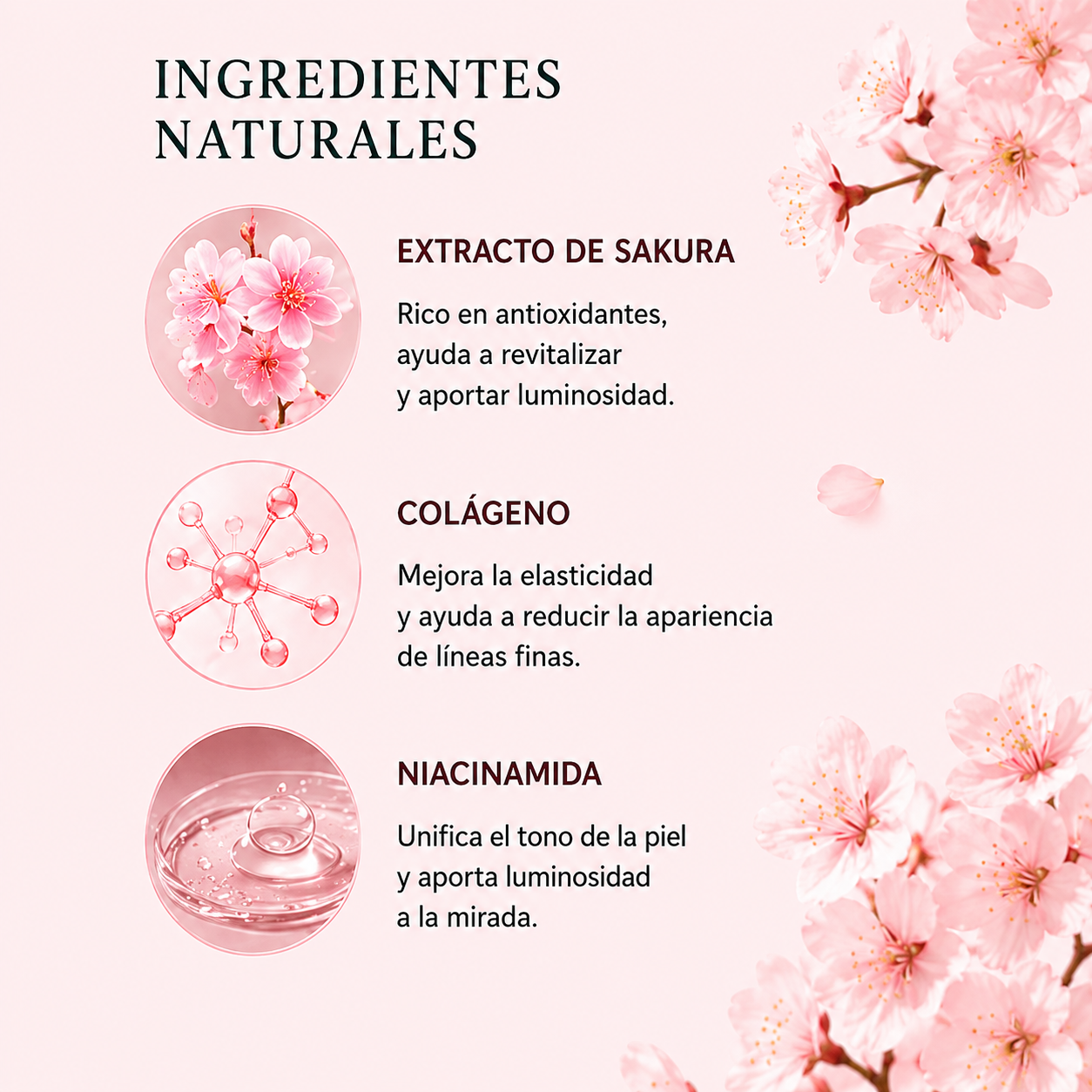 Pack Duo Sakura · Antiojeras y Antibolsas en 15 Minutos (2 Cajas)